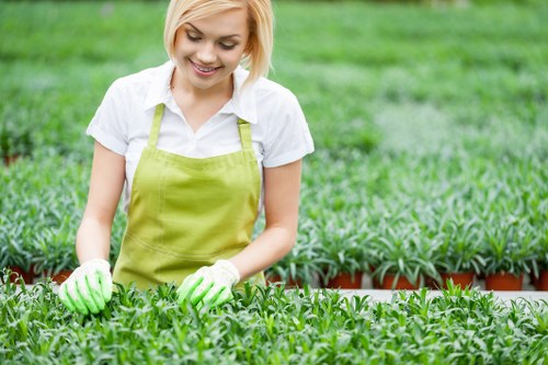 Close-up of a lawn with mowing pattern and service notes