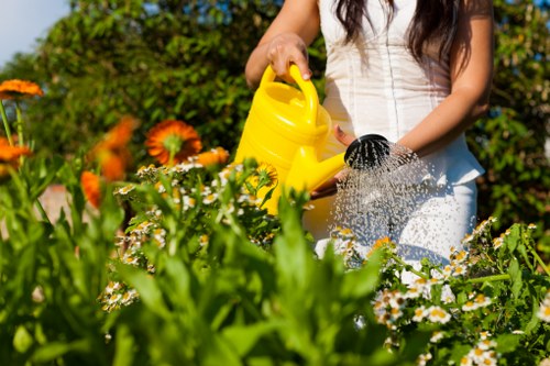 A woman in a white sleeveless top is watering a garden bed with a yellow plastic watering can, surrounded by various flowering plants and green foliage. In the foreground, there are vibrant orange and white flowers, while the background features a neatly maintained lawn with dense bushes and trees, indicating a well-kept outdoor space. The garden area includes a combination of flower beds, with a mix of dense grass, shrubs, and a paved pathway or patio surface, suggesting a landscaped yard typical of residential properties in Whitechapel. The lighting appears to be bright and sunny, highlighting the natural colours of the plants and the lush greenery, consistent with summer conditions. The scene reflects a typical gardening and outdoor maintenance activity, aligning with lawn care and garden servicing seen in the local area by companies such as Lawn Mowing Whitechapel. The overall environment demonstrates a healthy, vibrant garden set in a suburban outdoor space, suitable for professional gardening and lawn care services.