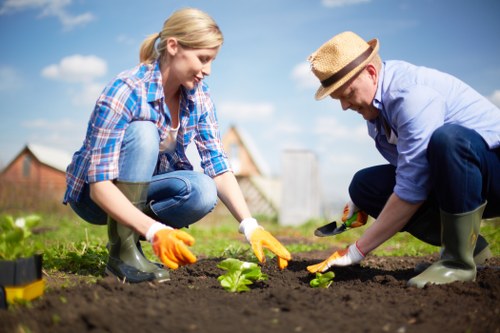 Healthy lawn maintenance in Whitechapel garden