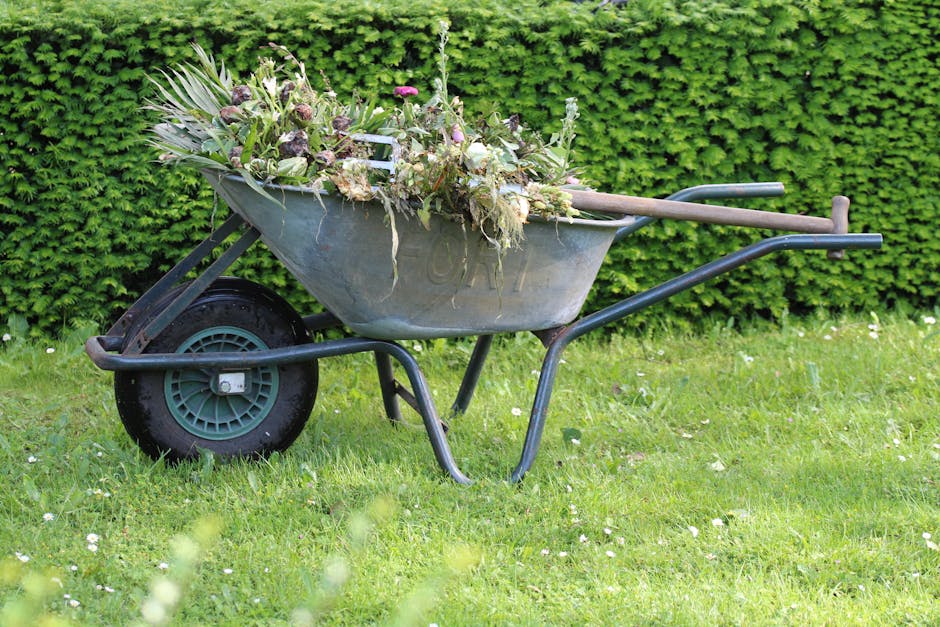 A metal wheelbarrow with a black rubber tire filled with an assortment of garden waste including wilted flowers, dried leaves, and cut plant stems, situated on a lush green lawn. The wheelbarrow has w